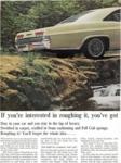 Chevrolet 1965 097.jpg